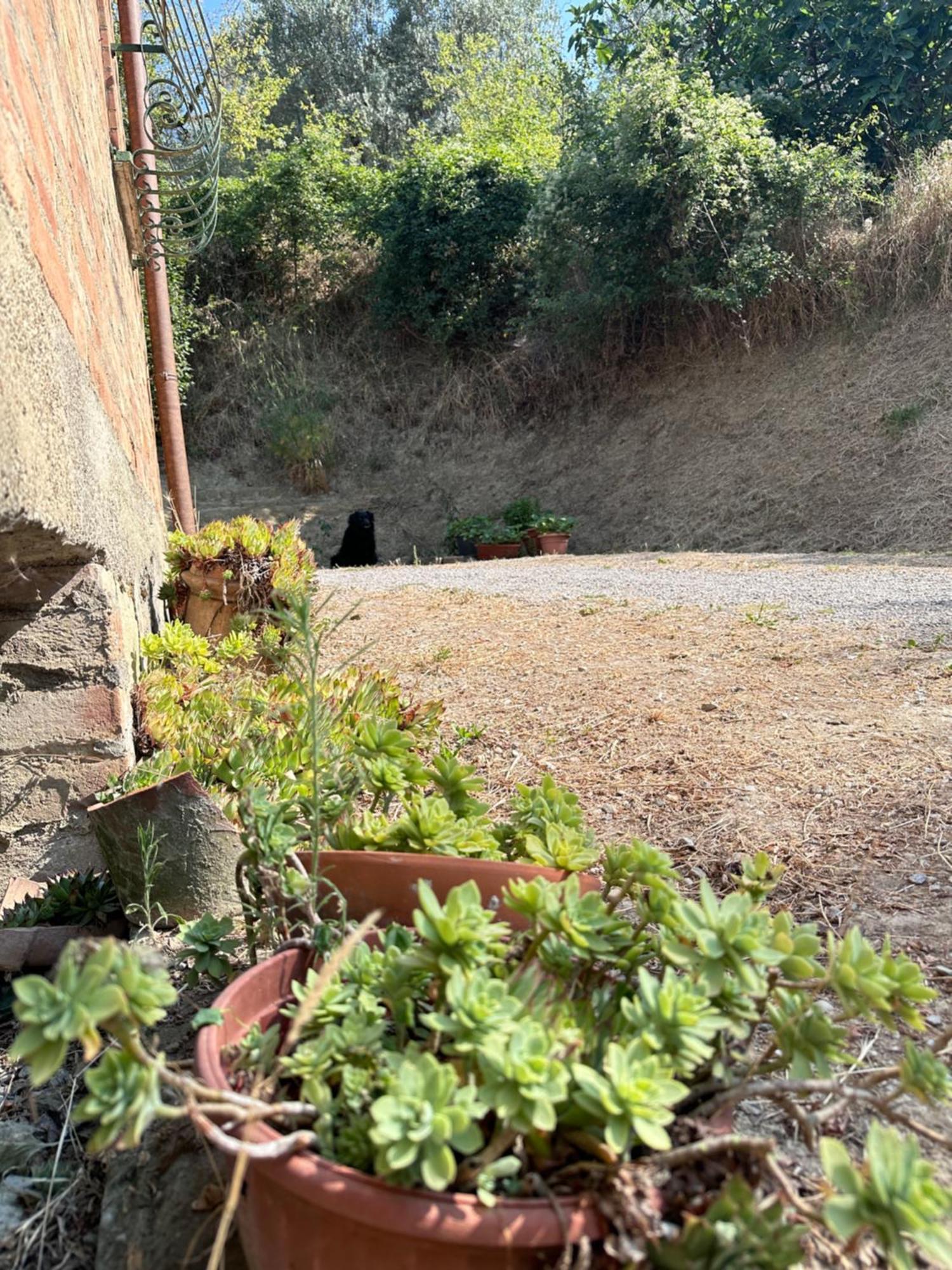 Agriturismo San Biagio Vila Montepulciano Stazione Exterior foto