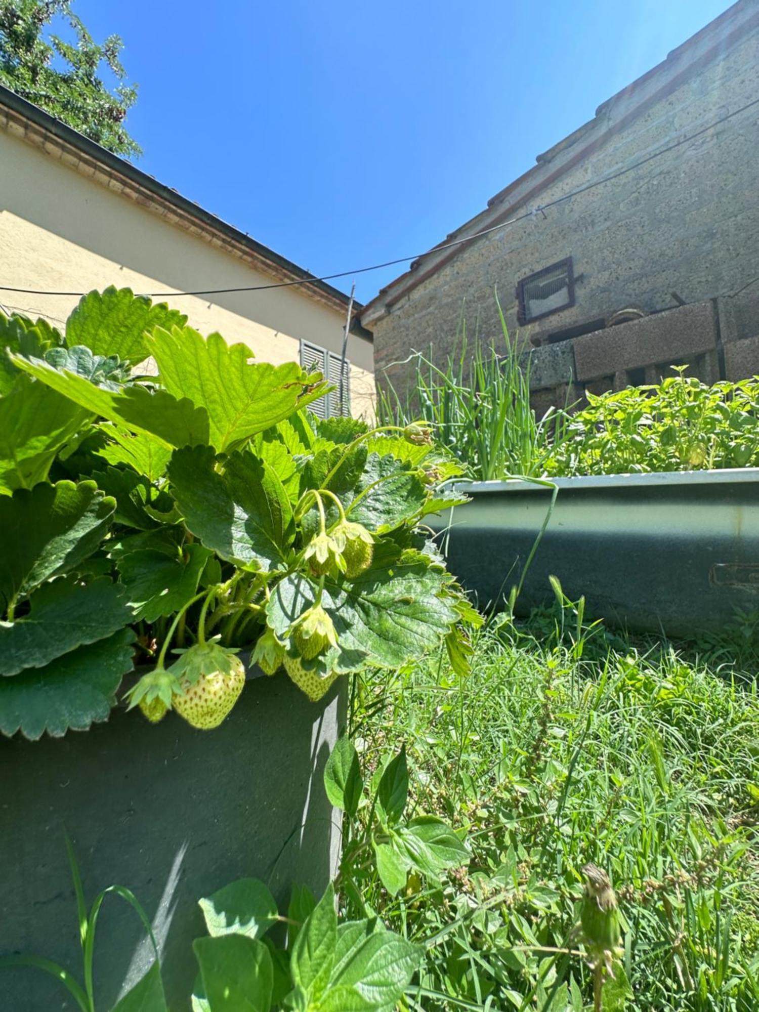 Agriturismo San Biagio Vila Montepulciano Stazione Exterior foto