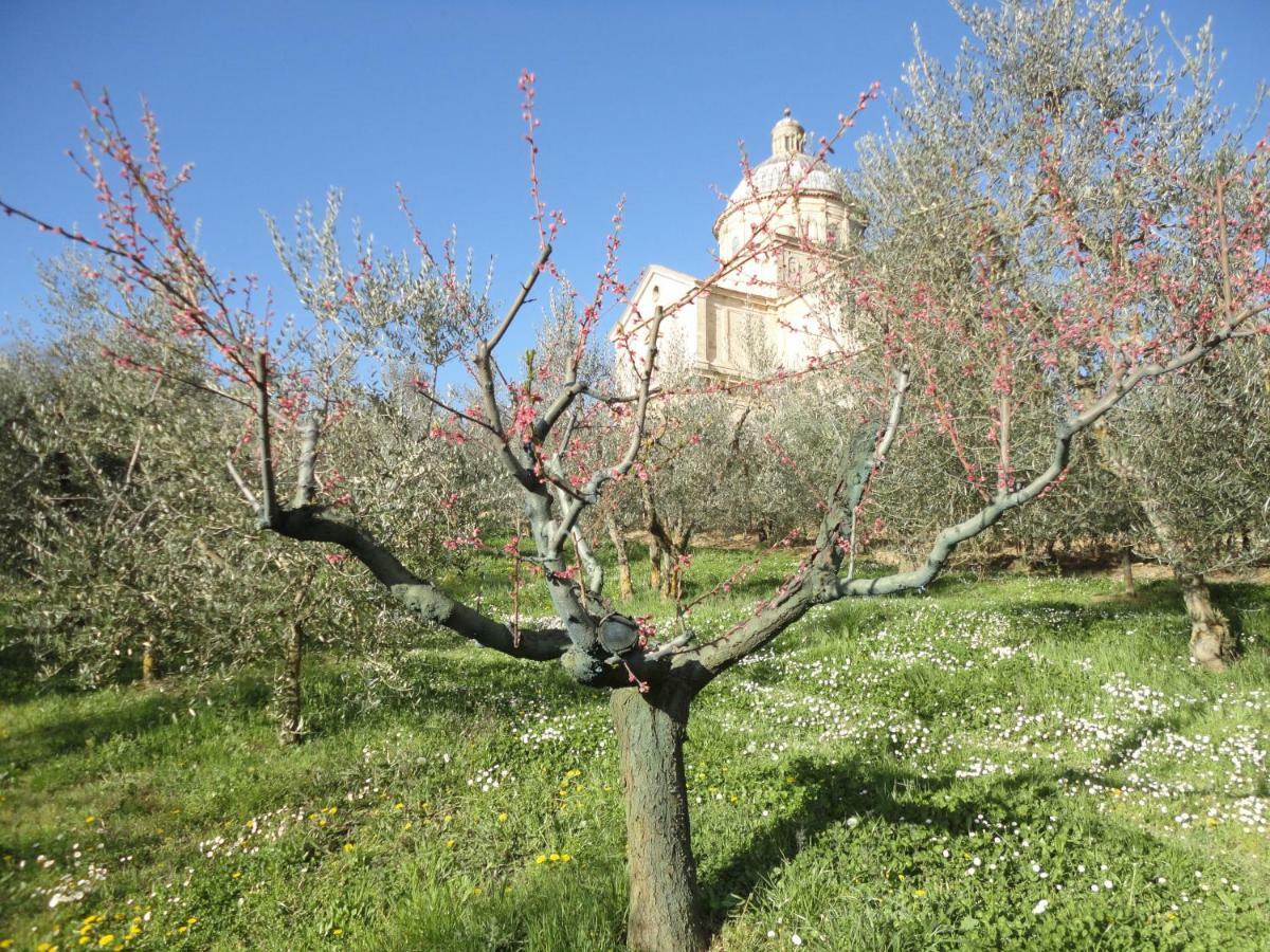 Agriturismo San Biagio Vila Montepulciano Stazione Exterior foto